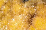 Intense Orange Calcite Crystal Cluster - Poland #228273-1